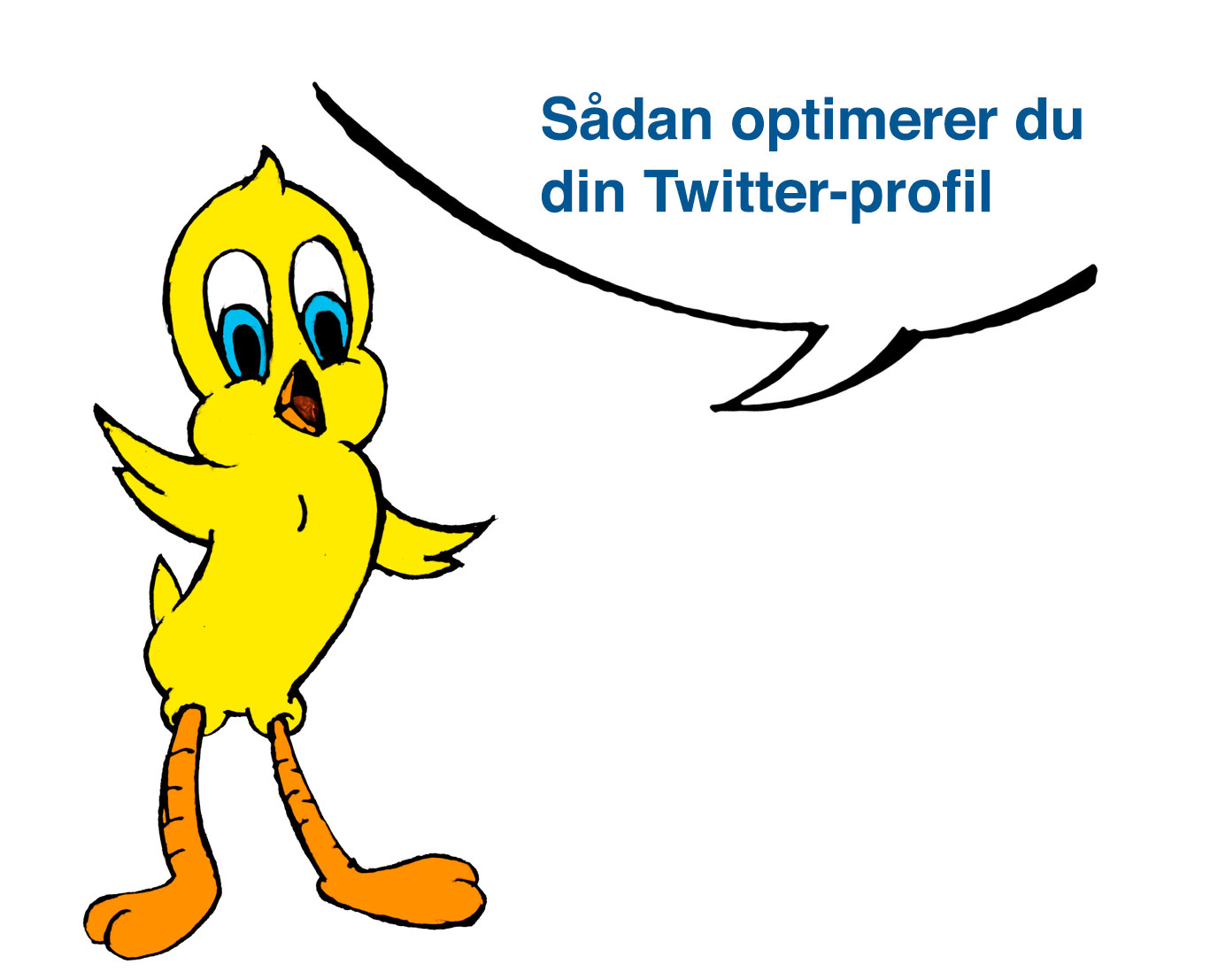 Sådan optimerer du din Twitter-profil
