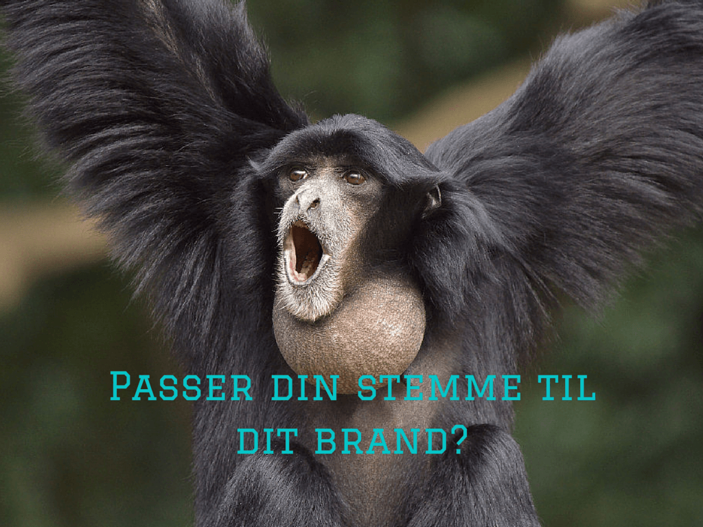 Tone of voice-guide: Find din virksomheds stemme