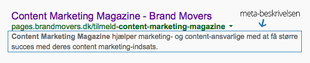 meta-beskrivelse-google.png
