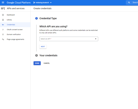 Vælg Google API - indexing